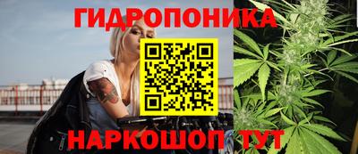 шишки Химки
