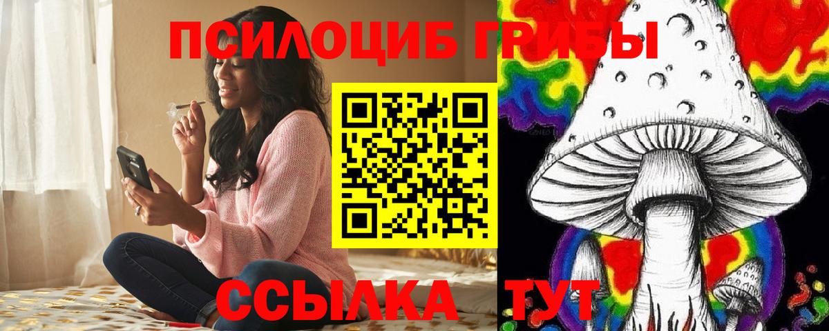 Дедовск  Галлюциногенные грибы GOLDEN TEACHER  Вход с VPN 